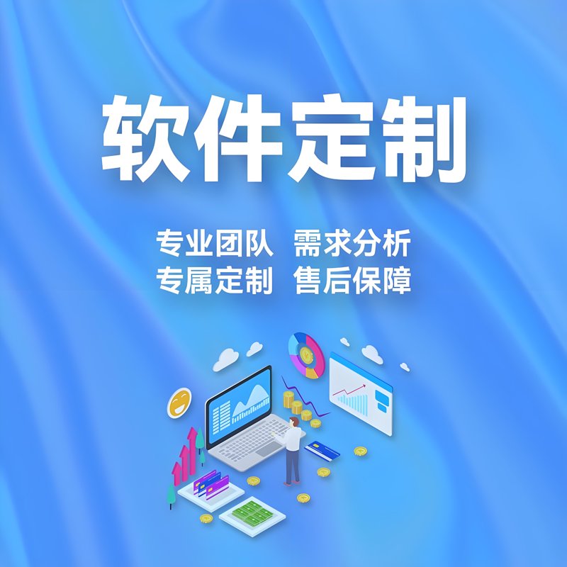定制化管理软件:赋能企业管理创新